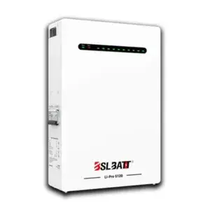 BSLBATT Li PRO 5120 Battery